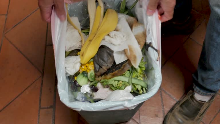 Best Construction Debris Removal  in Windom, MN